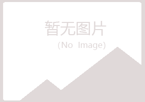 偃师白山房地产有限公司